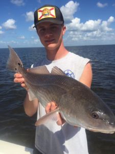 Florida Redfish