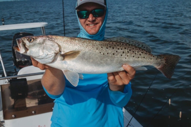 Speckled Sea Trout Captiva