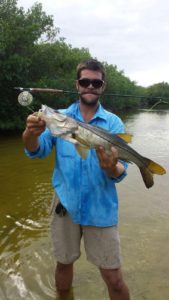 Snook on Fly