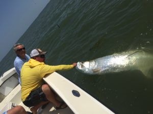 October Fishing Report Tarpon