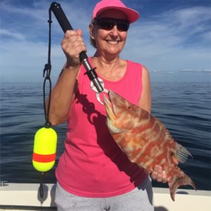 Hogfish Dinner