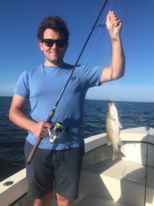 Rebounding from SWFL Red Tide.