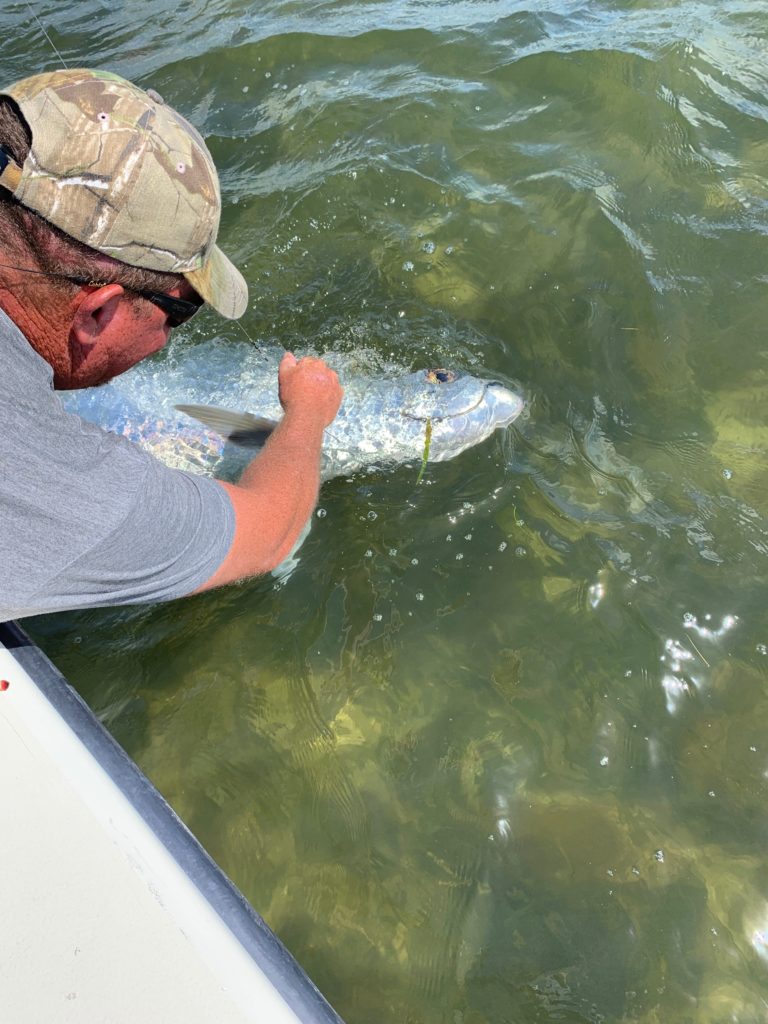 Sanibel Tarpon